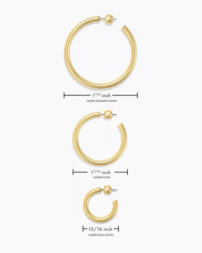 Carter Statement Hoops