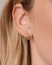 Load image into Gallery viewer, Wilder Huggies - Stainless Steel Post
